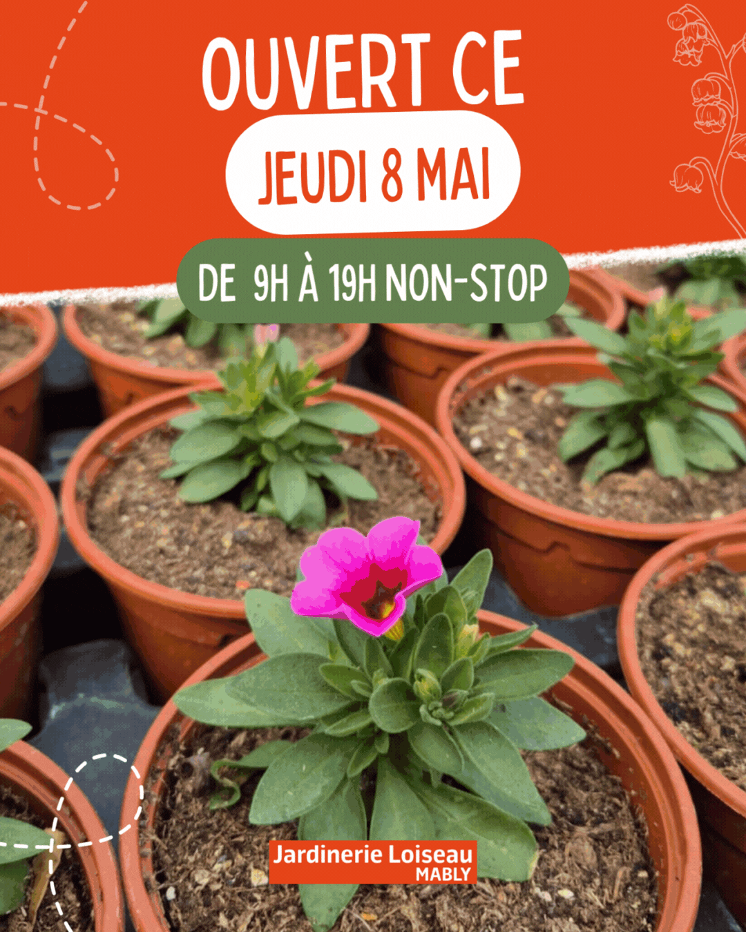 Créez un coin de paradis dans votre jardin 💧