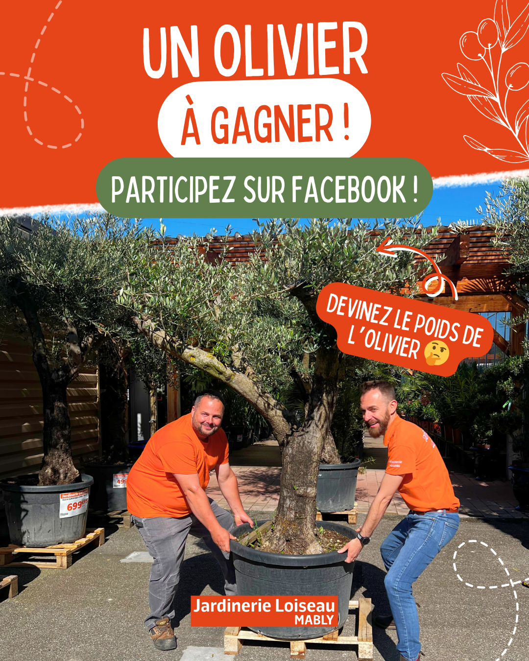 Un olivier à gagner, jouez sur notre page Facebook !