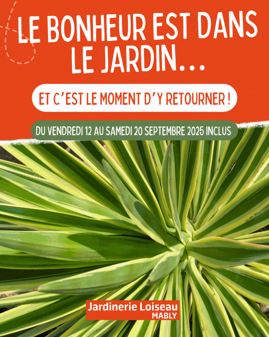 Le bonheur est dans le jardin… et c’est le moment d’y retourner ! 🌺
