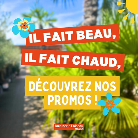 Profitez de nos promos sur le mobilier de jardin ! 🌞