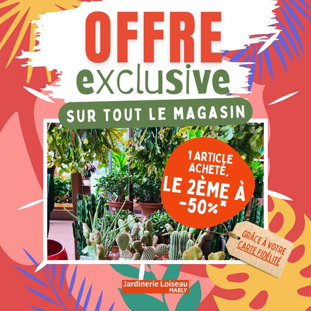 -50% sur le 2ème article ! 🌞