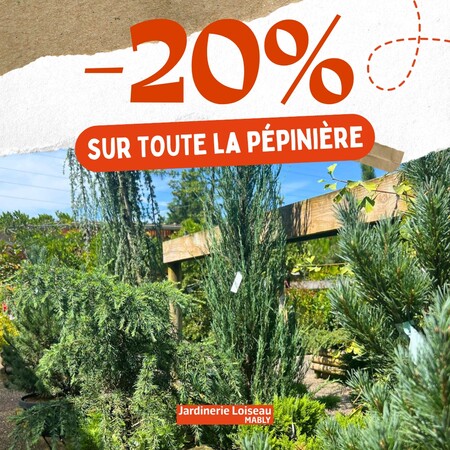 🌴 -20% sur TOUTE la pépinière !