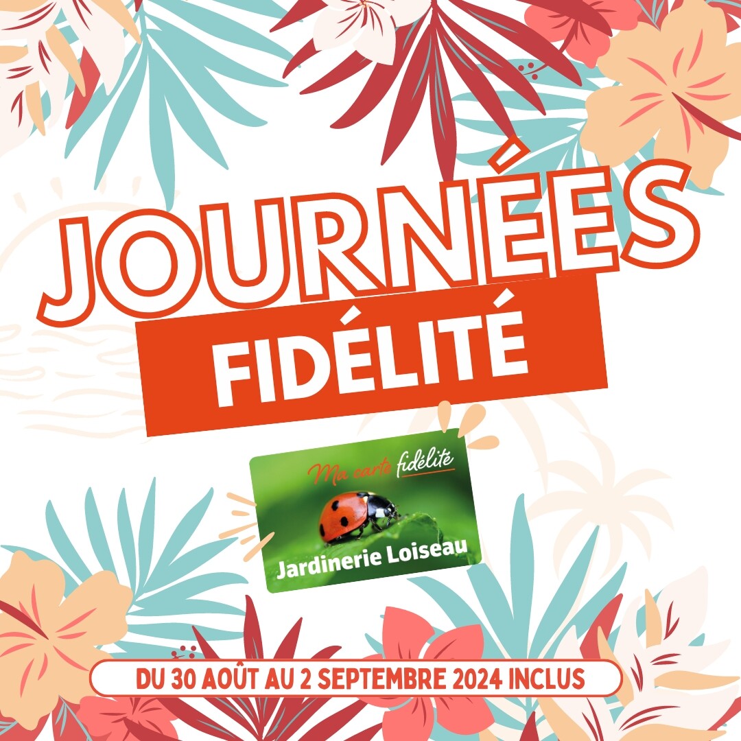 🌴 Journée Fidelité!