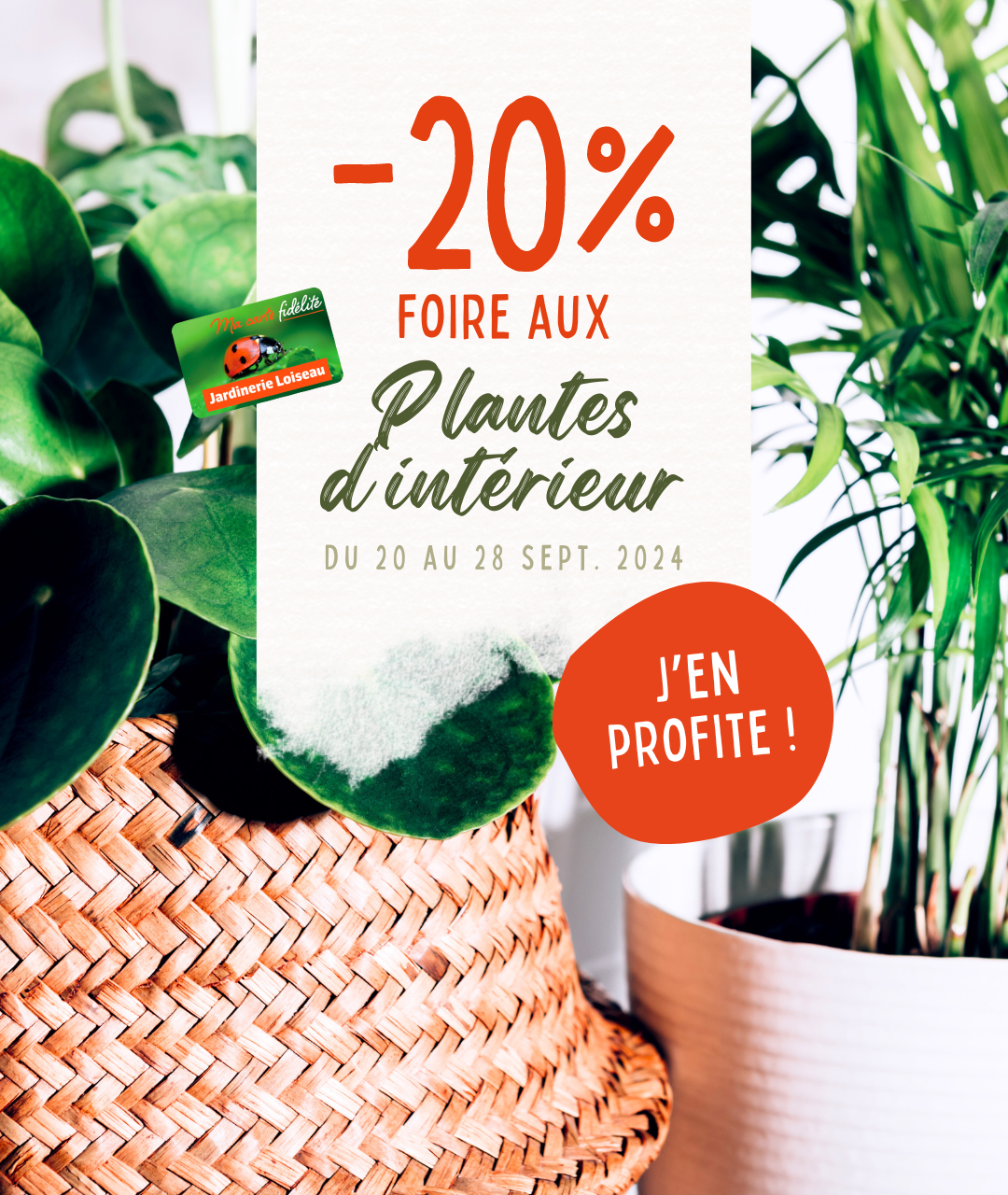  -20%  sur notre sélection de plantes d'intérieur*