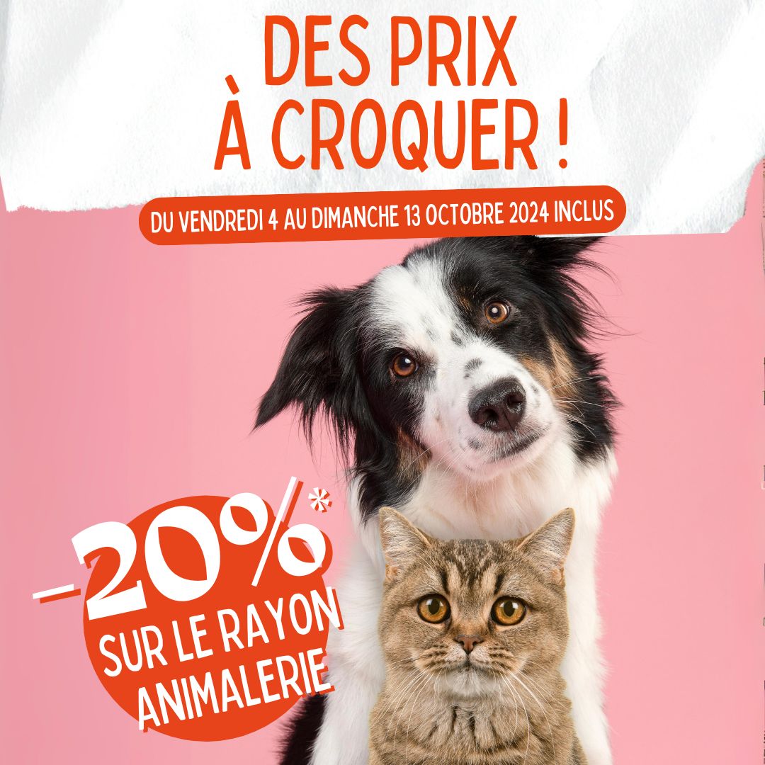 -20% sur le rayon animalerie* 😻🐶