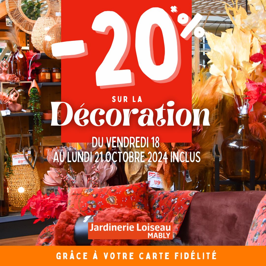 -20% sur la déco & petits prix gazon ! 🍁👩🏼‍🌾