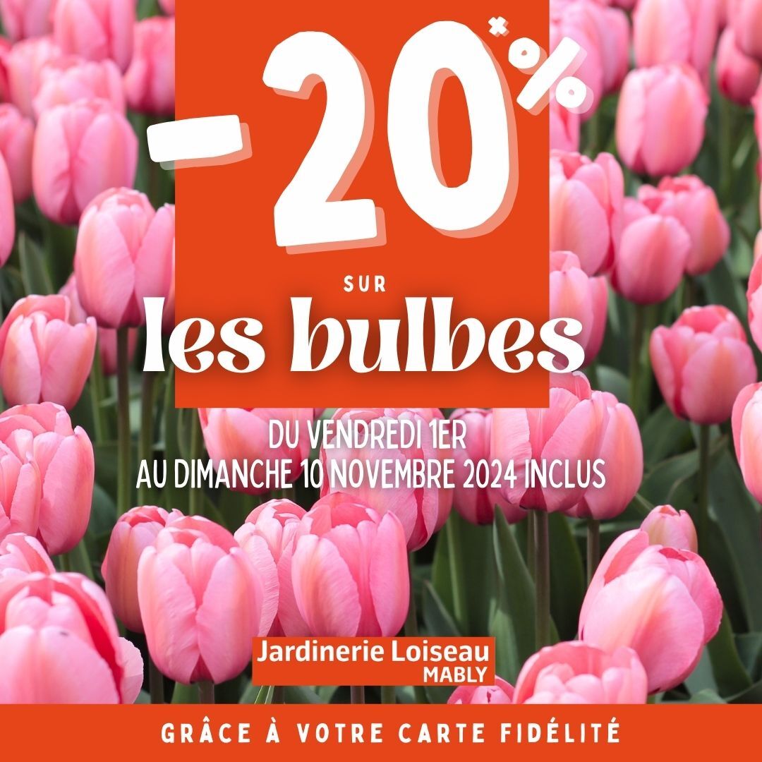 Découvrez notre sélection de bulbes