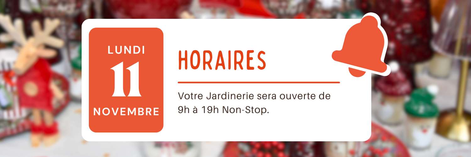 Profitez de la magie de Noël ce week-end ! 🎅✨