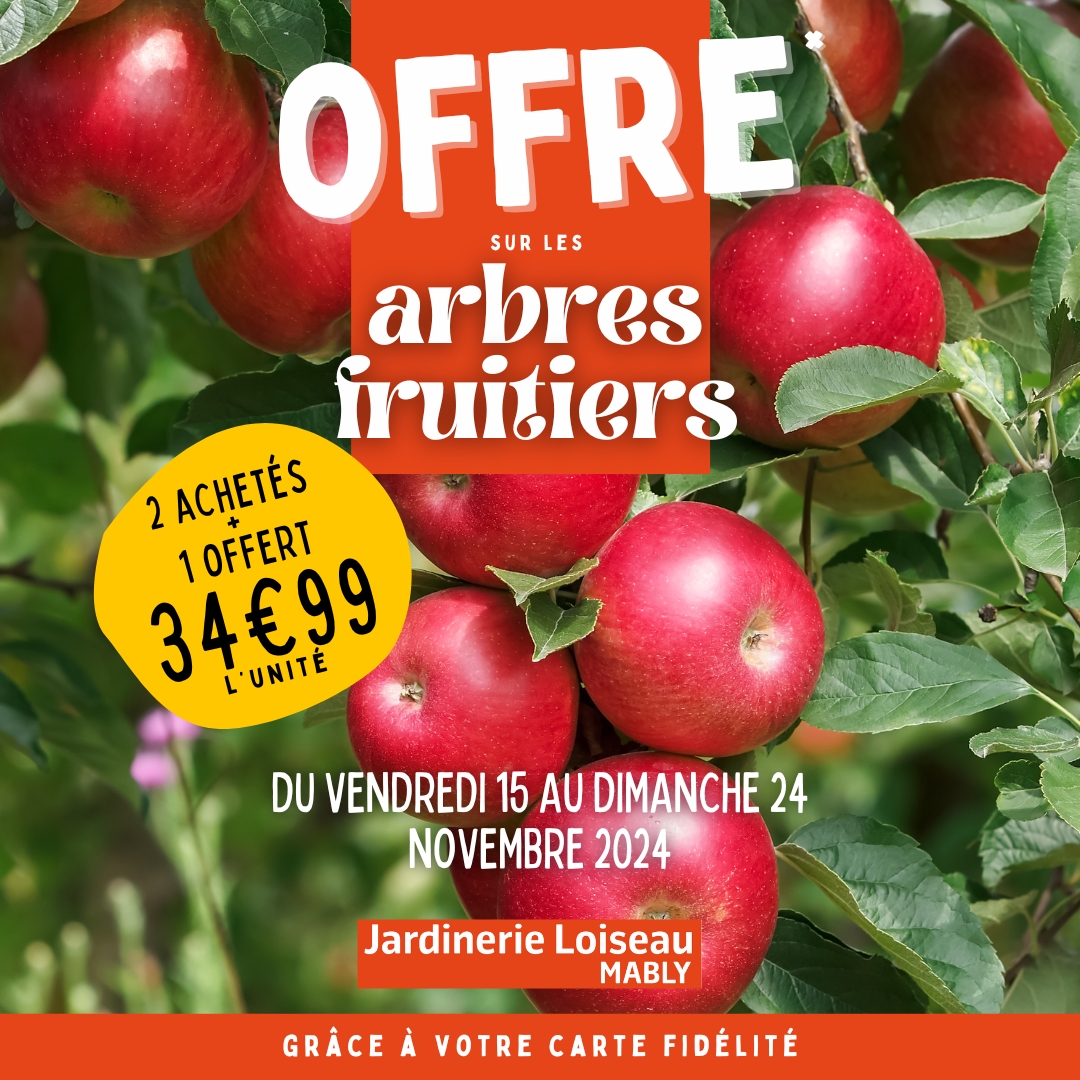 Offre sur les arbres fruitiers & petits fruits ! 🍒