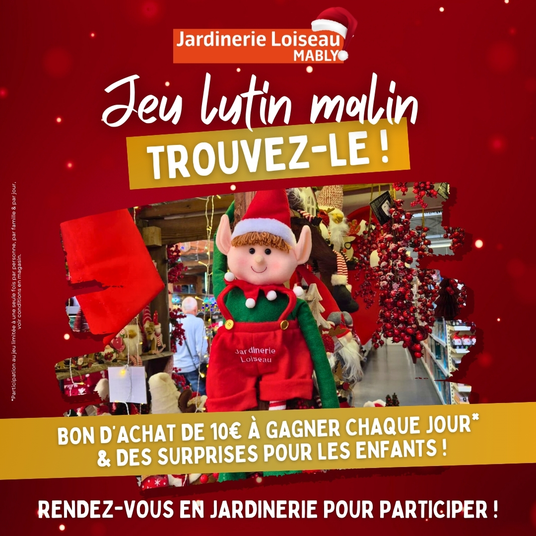 Jeu Lutin Malin : Bon d'achat de 10€ à gagner ! 💰