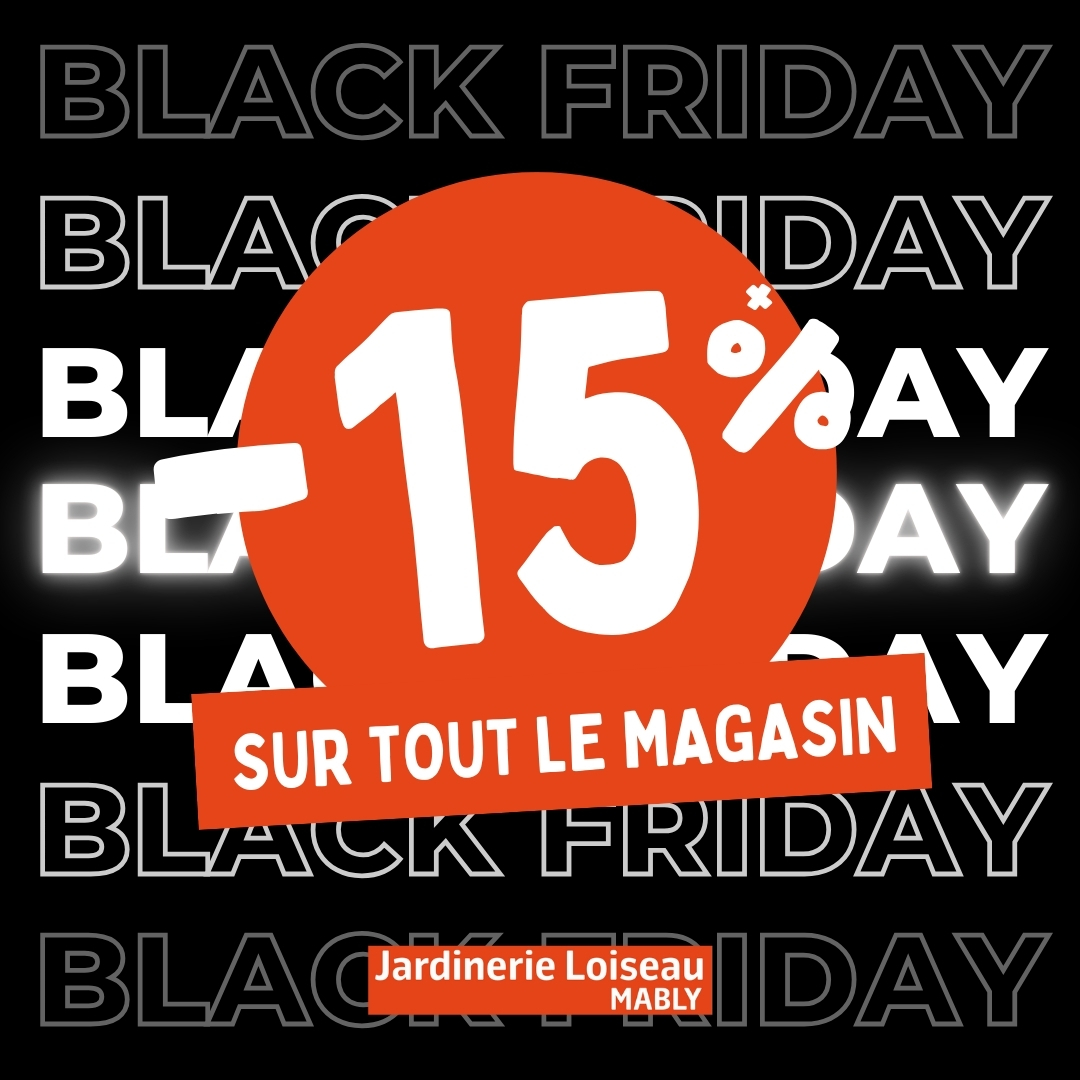 Black Friday : -15% sur tout le magasin durant 4 jours ! 🧡 🖤