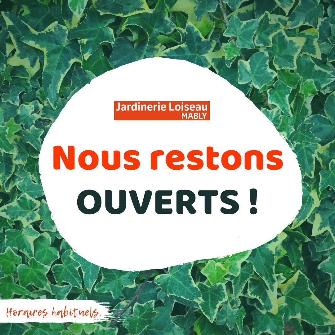 Jardinerie Loiseau - Informations reconfinement !