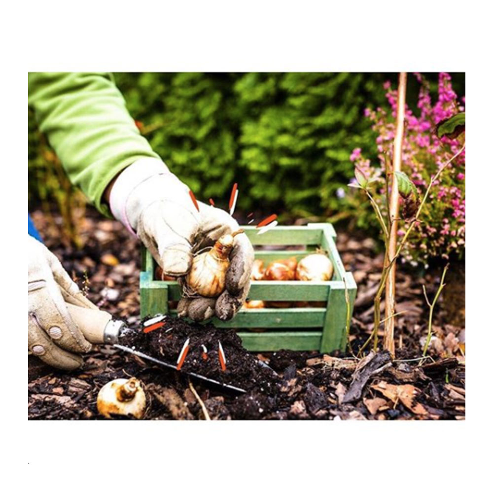jardinerie loiseau roanne instagram