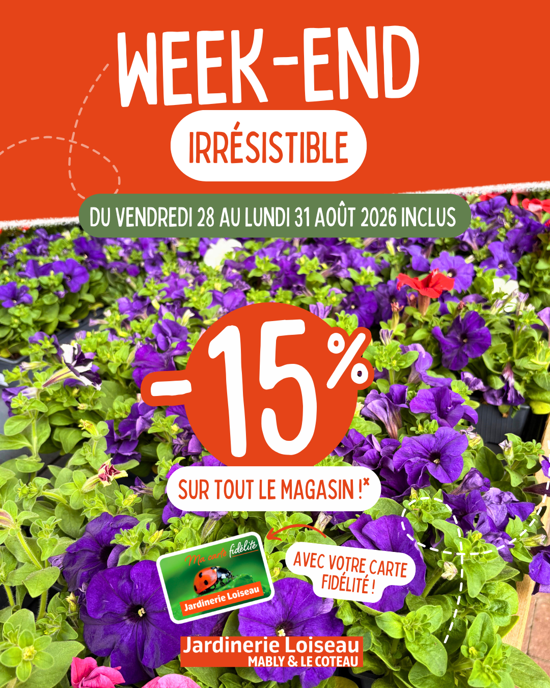 Actualité