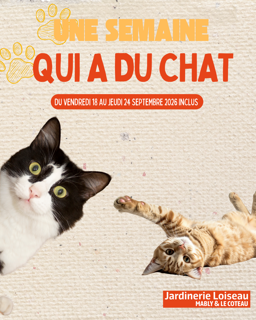 Actualité